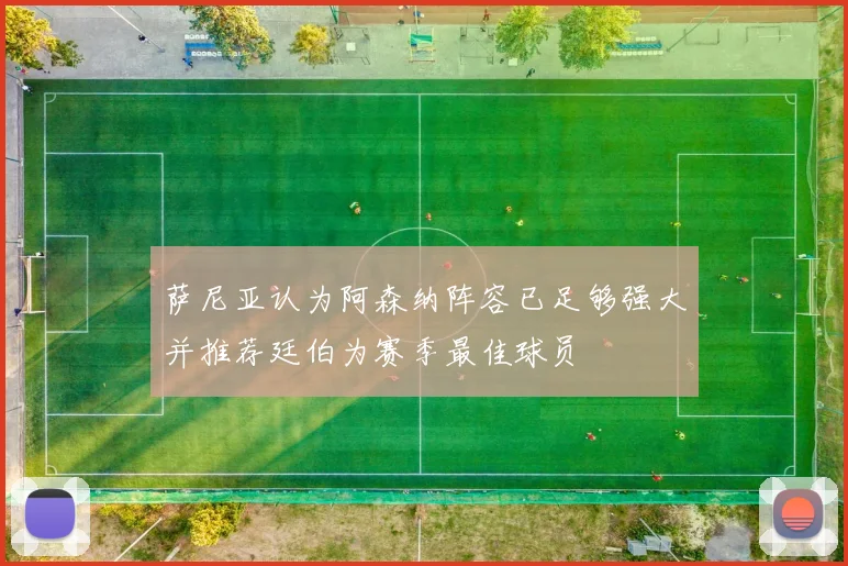 萨尼亚认为阿森纳阵容已足够强大并推荐廷伯为赛季最佳球员