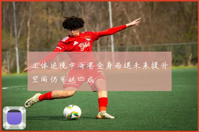 工体逆境中海港全身而退未来提升空间仍可达四成