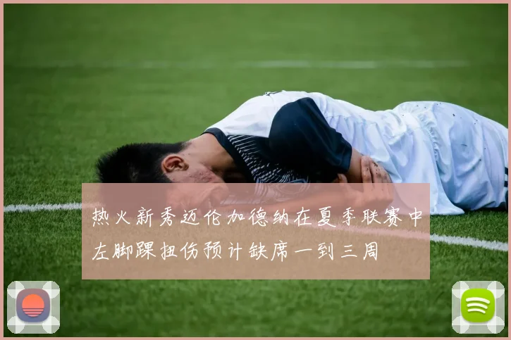 热火新秀迈伦加德纳在夏季联赛中左脚踝扭伤预计缺席一到三周
